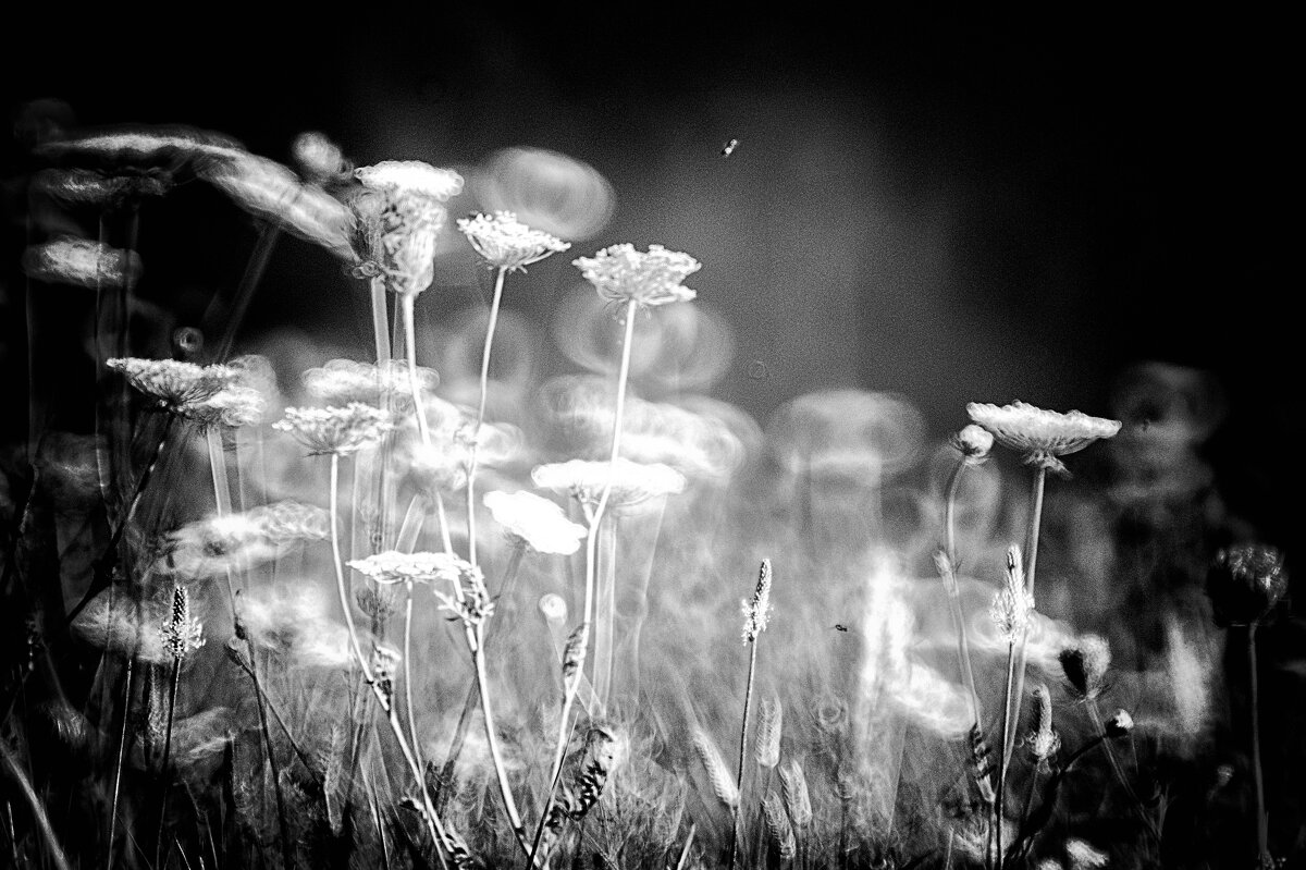 ... - Jiří Valiska