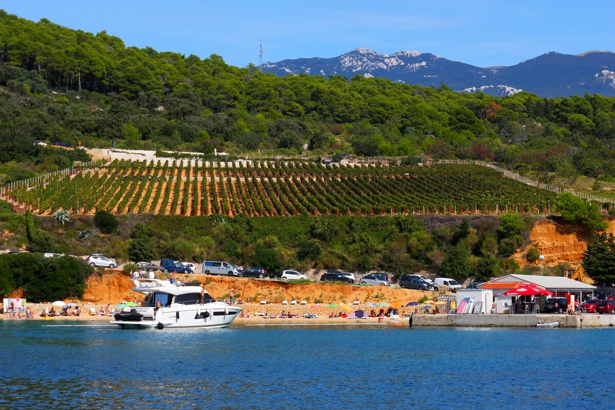 Хорватия - Юрий. Шмаков