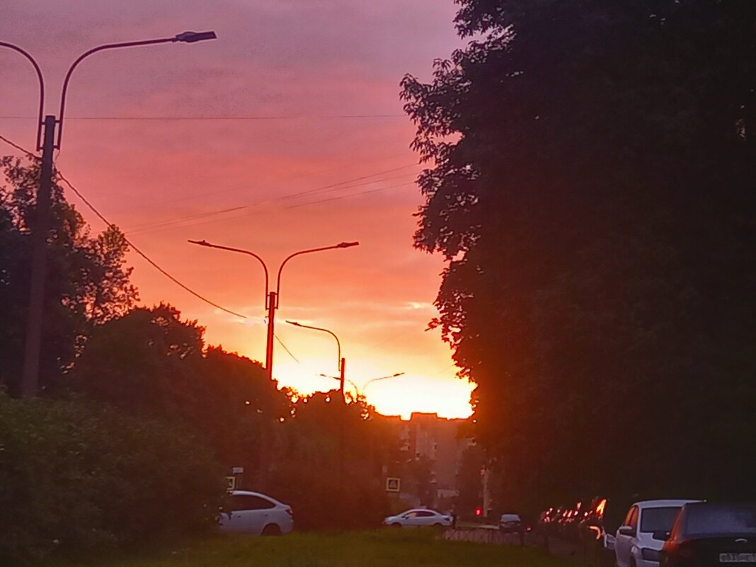 Рассвет - Сапсан 