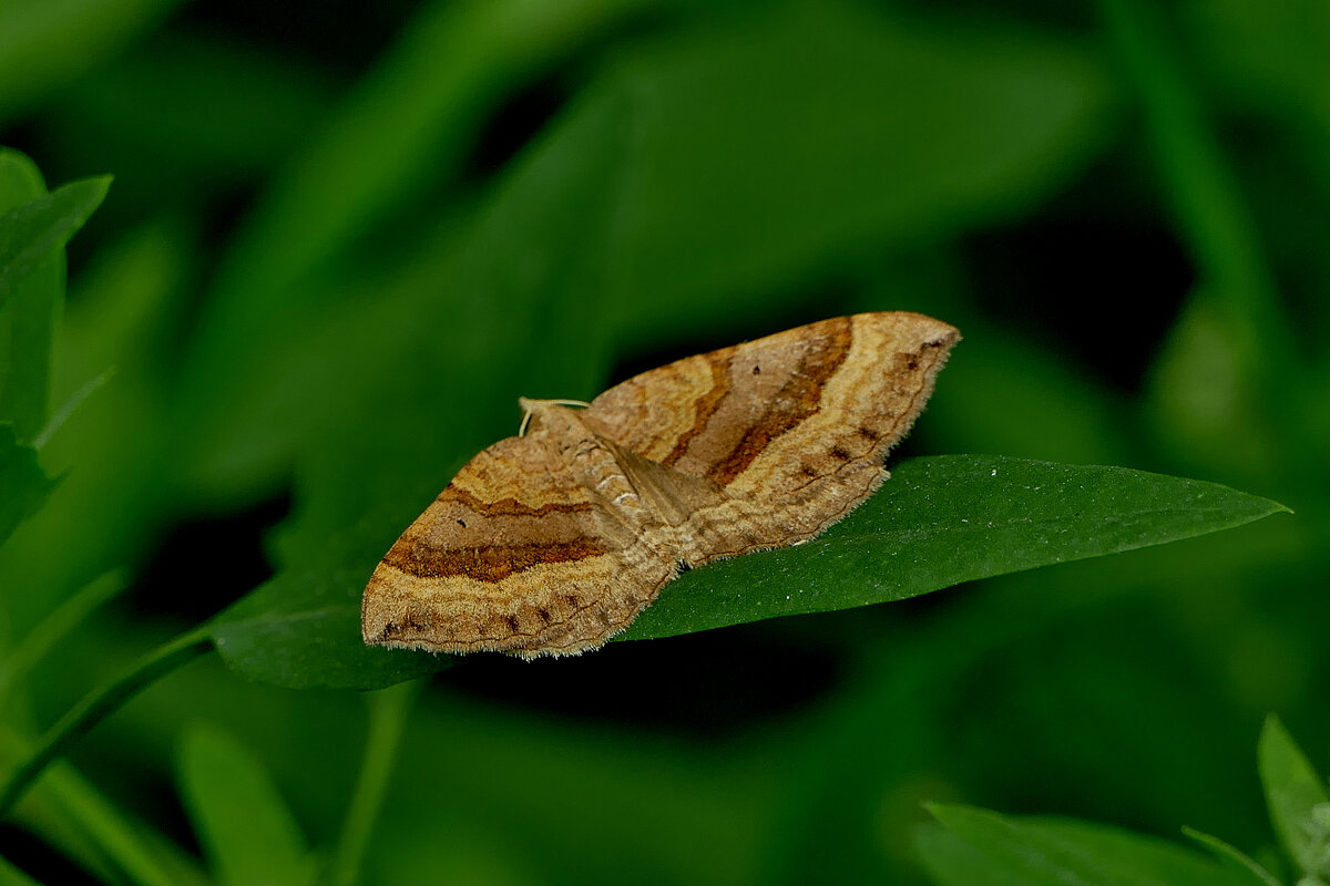 из снятого вчера 1 - Александр Прокудин