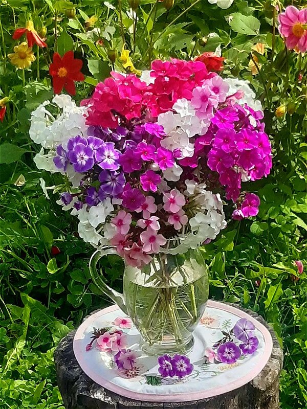 Букет с флоксами! - Нина Андронова