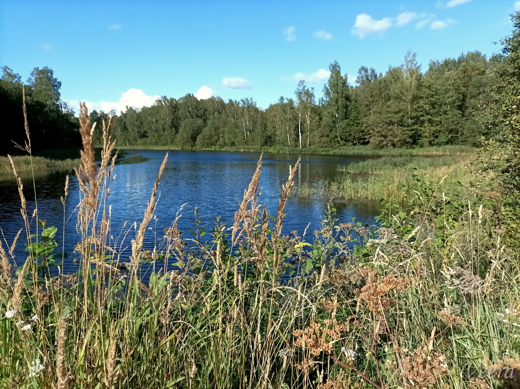 Еще одно место для рыбалки ) - Veera V