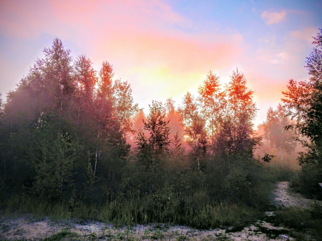 Волшебное утро!  ... ( туманное  ) - Елена Хайдукова  ( Elena Fly )