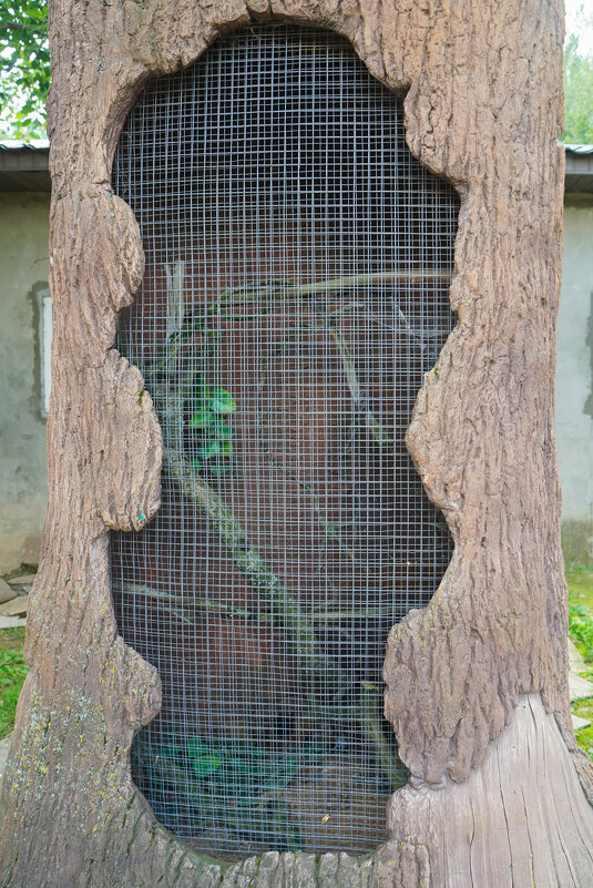 ПОДКОРКА - Сергей Янович Микк