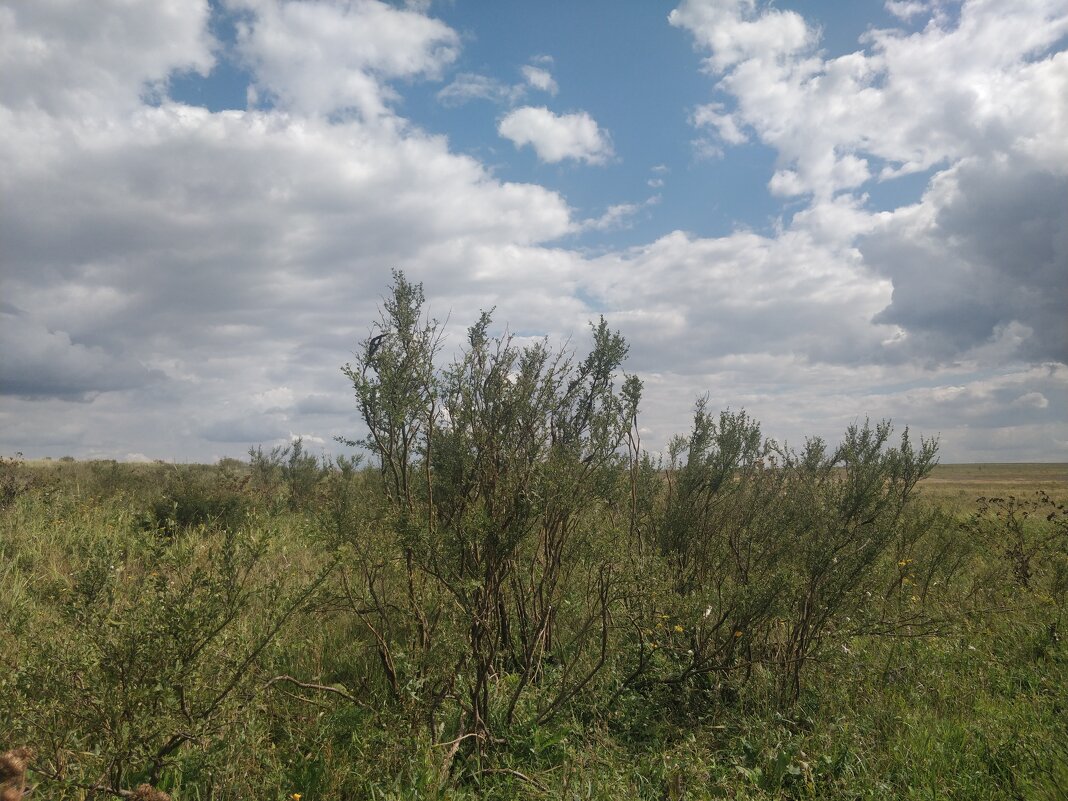 Солнечный день - Андрей Хлопонин