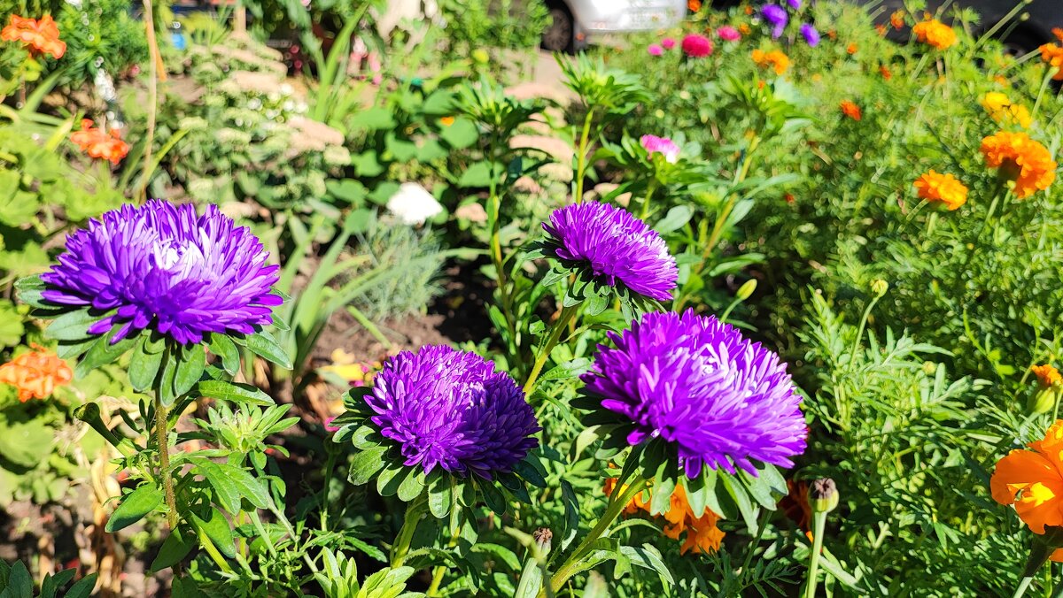 ,,, - Сергей Тимоновский