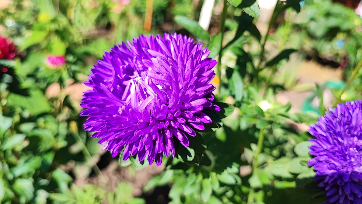 ,, - Сергей Тимоновский