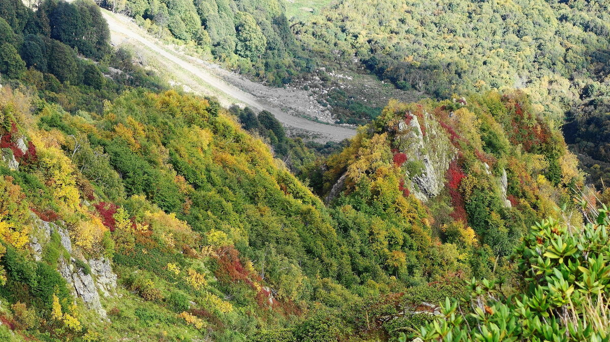 Кавказские горы - Рита Симонова