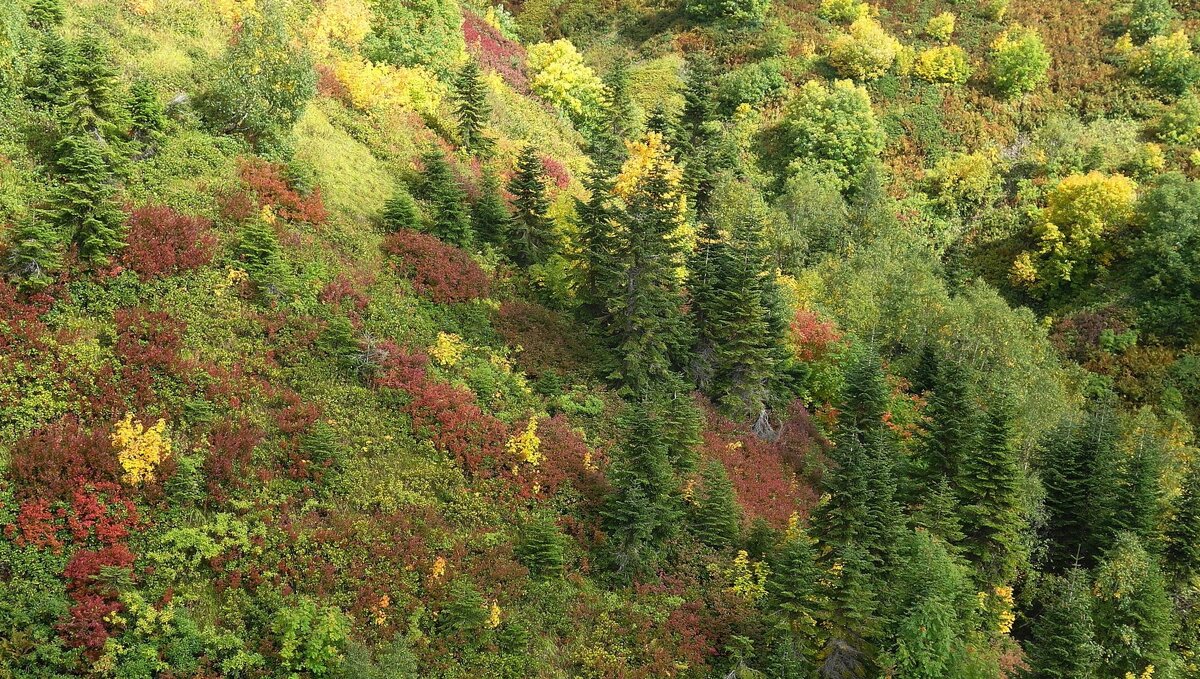 Кавказские горы - Рита Симонова