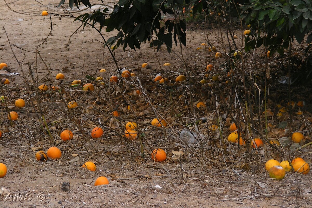 Заелись - kolyeretka 