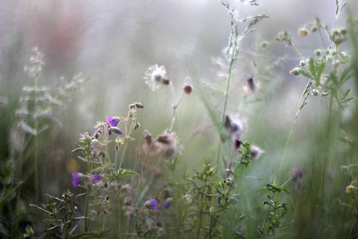 Утро - Валентина 