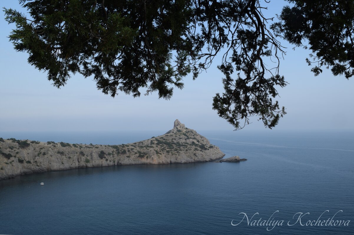 Природа Крыма - Amazing Cosmea