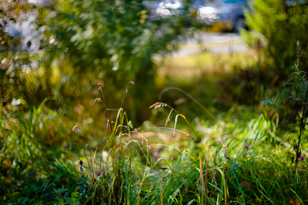 осень - А кузнецов