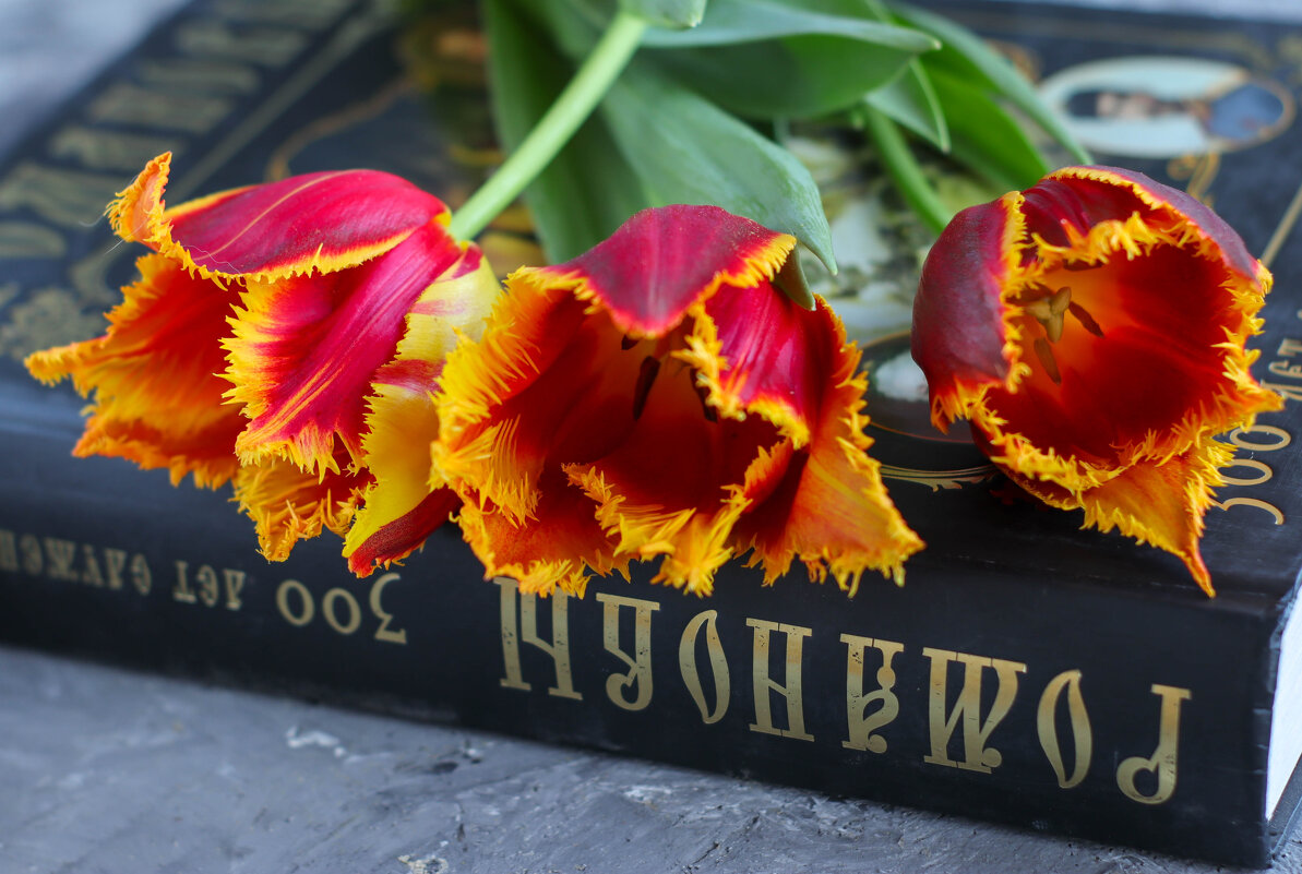 Тюльпаны - Irene Irene