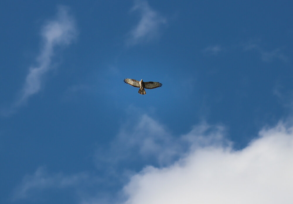 Парит... - Галина Ильясова