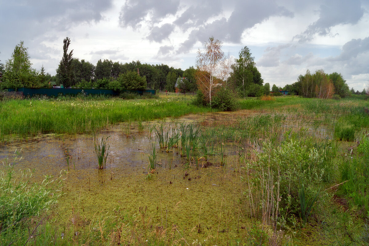 Природа - IRinA*** 