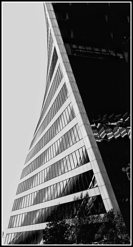 Изгиб - Максим Сорокин