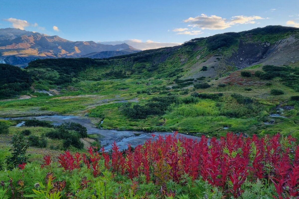 Чудесный край - Камчатка - Марина Виноградова