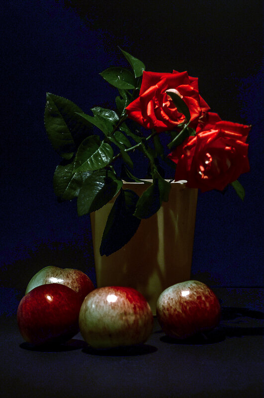 Августовская ночь - Андрей Щетинин