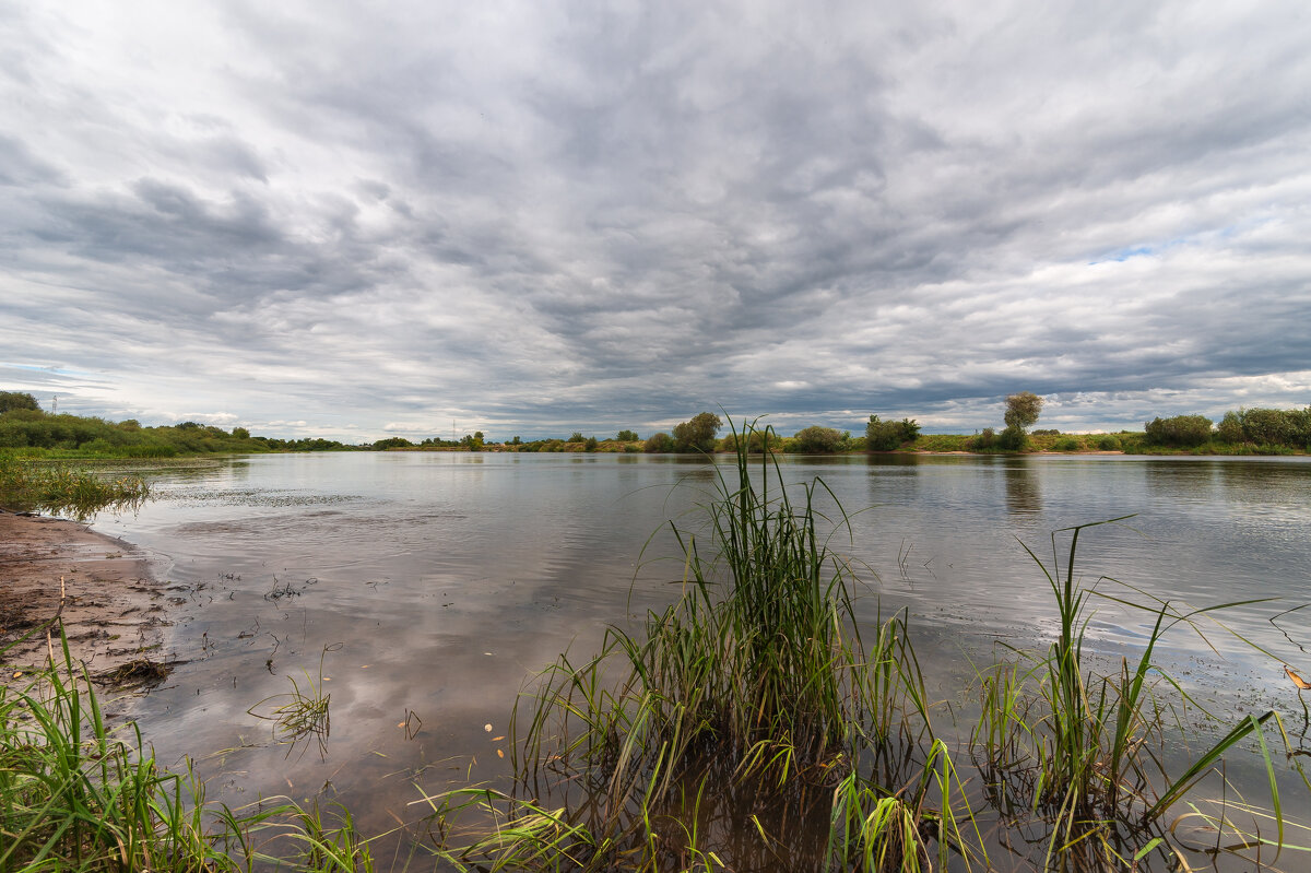 ... - василий 