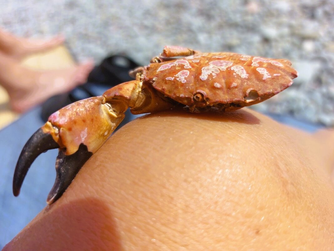 Не сломлен - Хватова Марина 