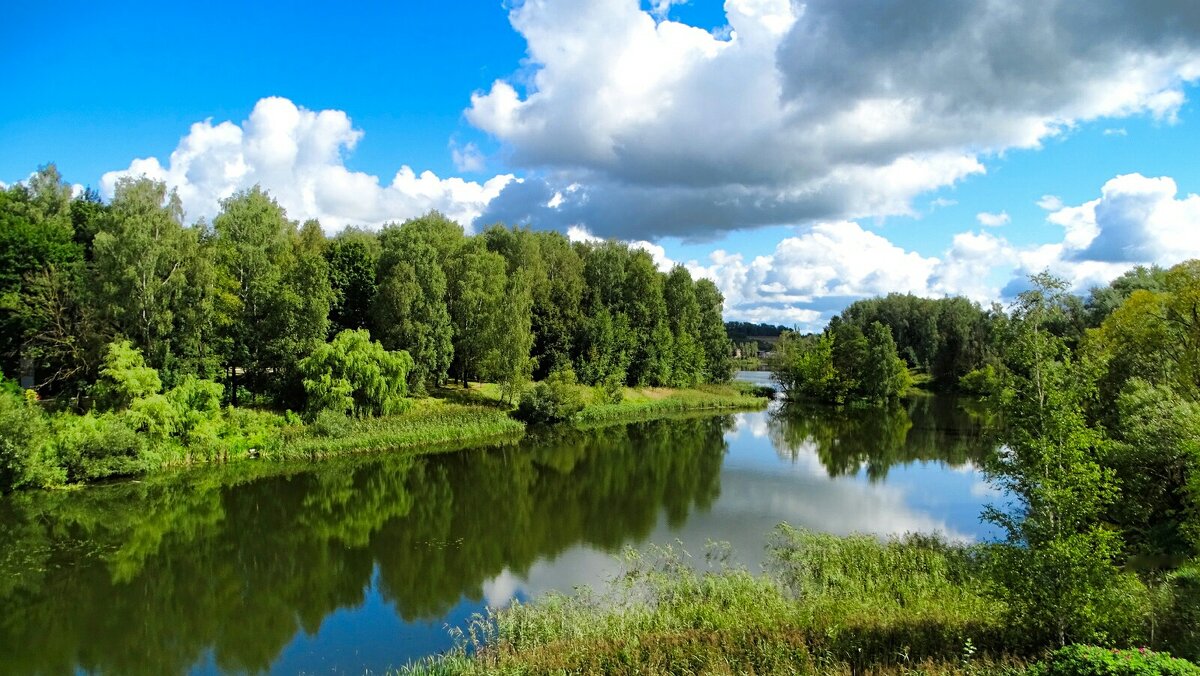 Природа в середине августа. - Милешкин Владимир Алексеевич 