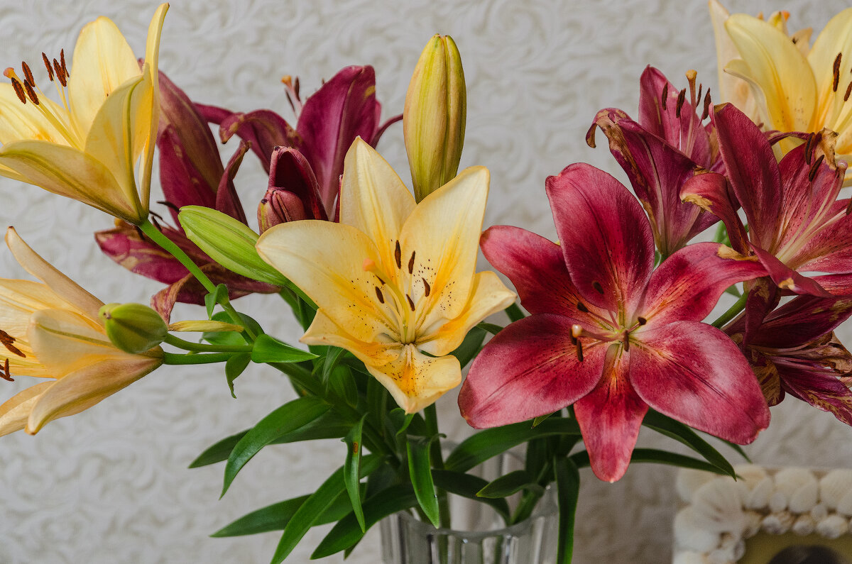 *** - Виктор Иванович Чернюк *** - Виктор Иванович Чернюк