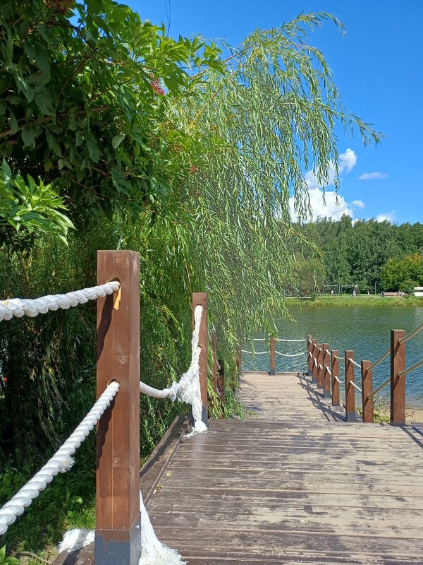 Терлецкий парк в Москве - Ольга Довженко