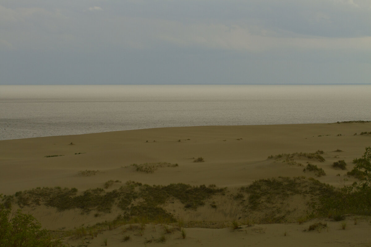 Куршская коса - Олег Денисов