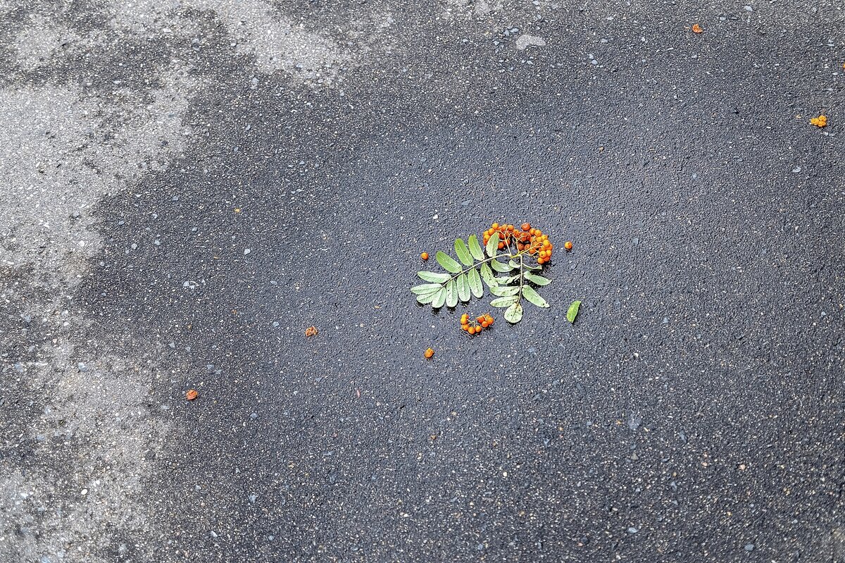 Осень близко - Валерий Иванович