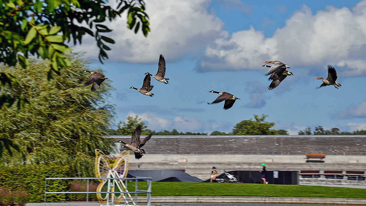 Тренировки полётов полным ходом! - Alexandеr P