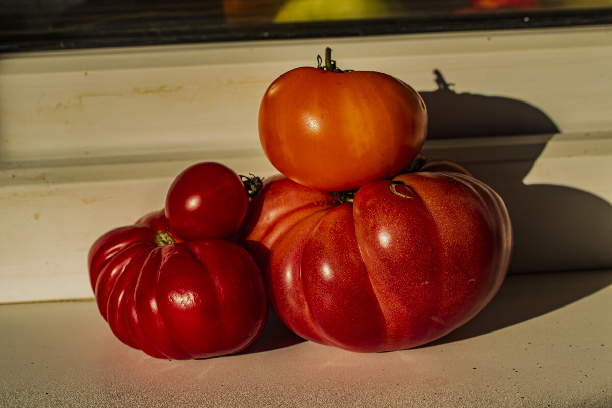 Разнокалиберные. - Петр Беляков