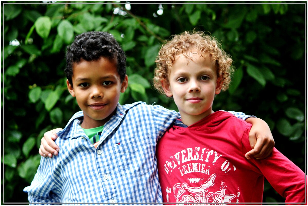 ДРУЖБА... - Elvira E. 