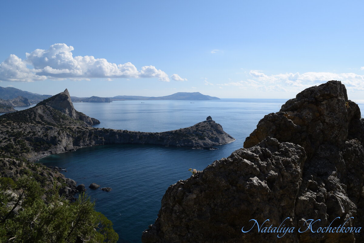 Природа Крыма - Amazing Cosmea