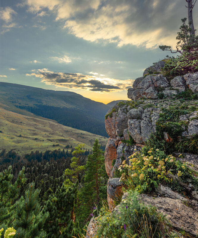 *** - Аnatoly Gaponenko