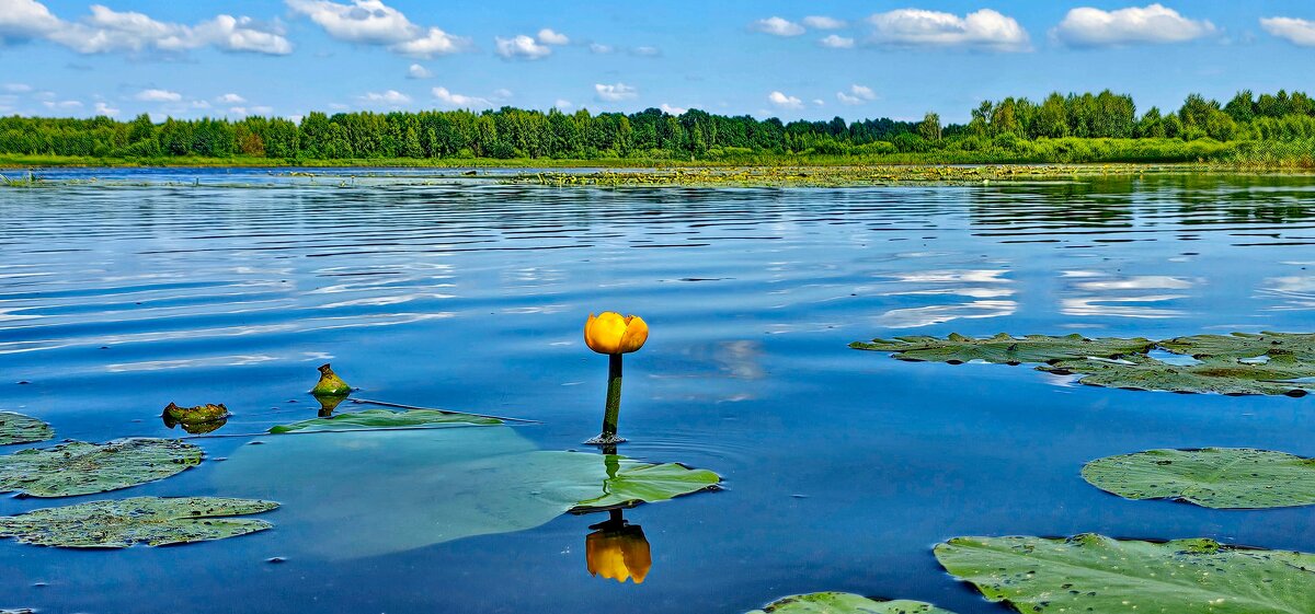 Река Солоница - Михаил Свиденцов
