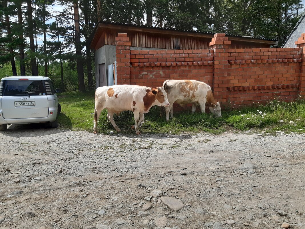 Конец июля - тоже середина лета - Галина Минчук