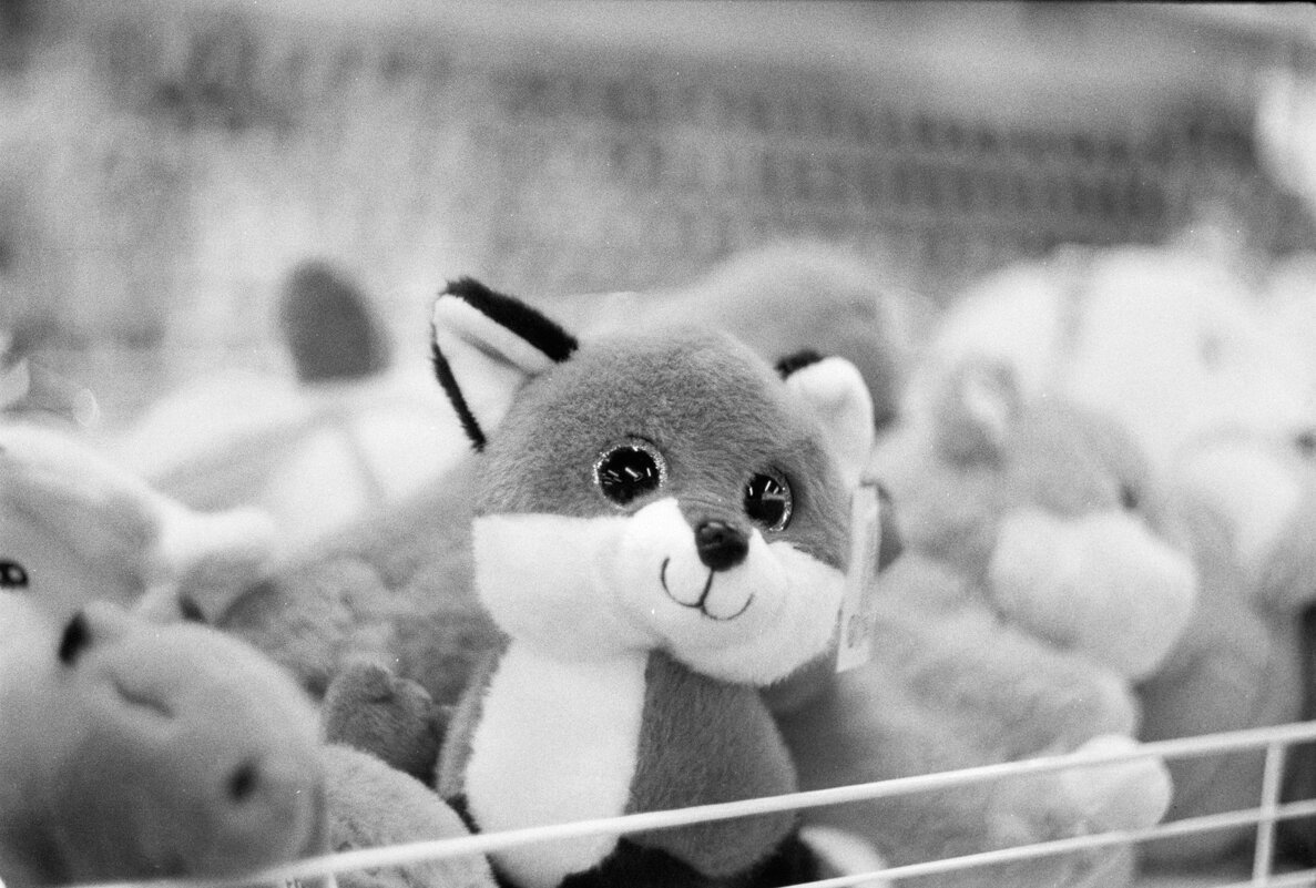 Фокс ? - Ильич -