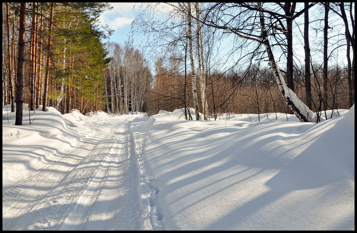 Март - **** vedin