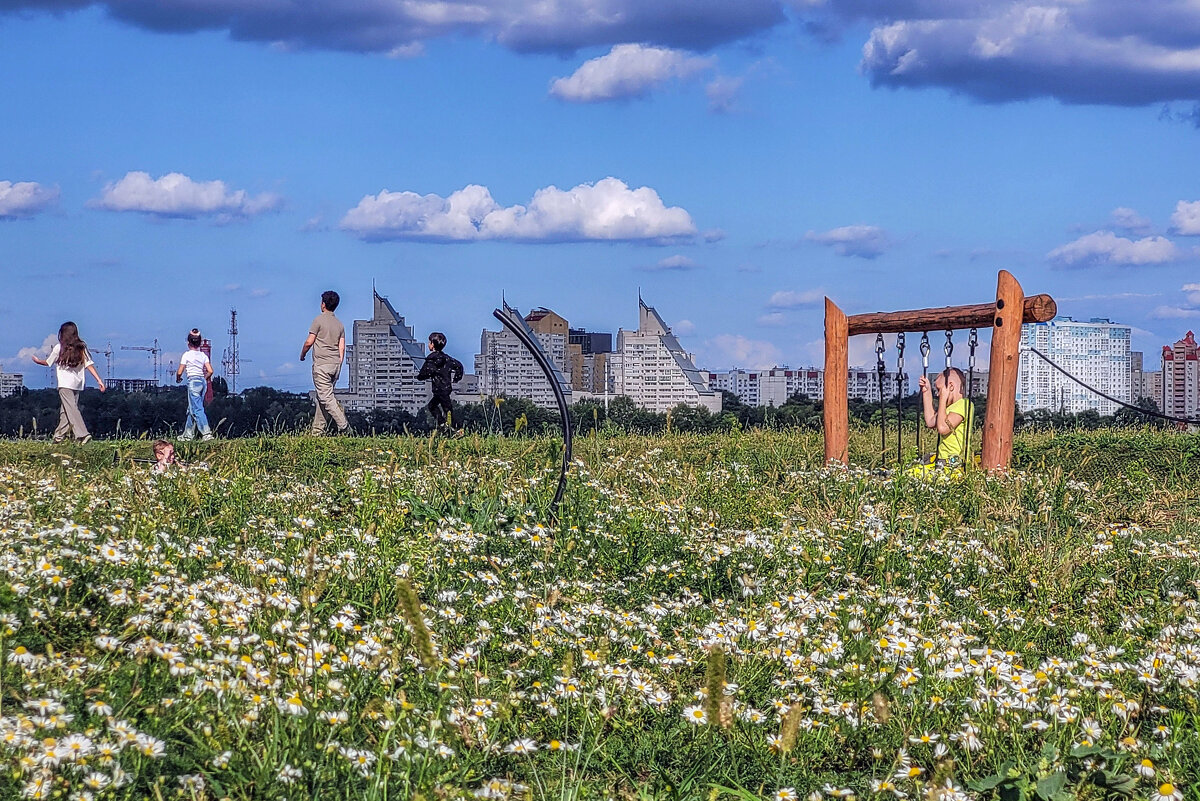 Ромашковое лето - Татьяна Машошина