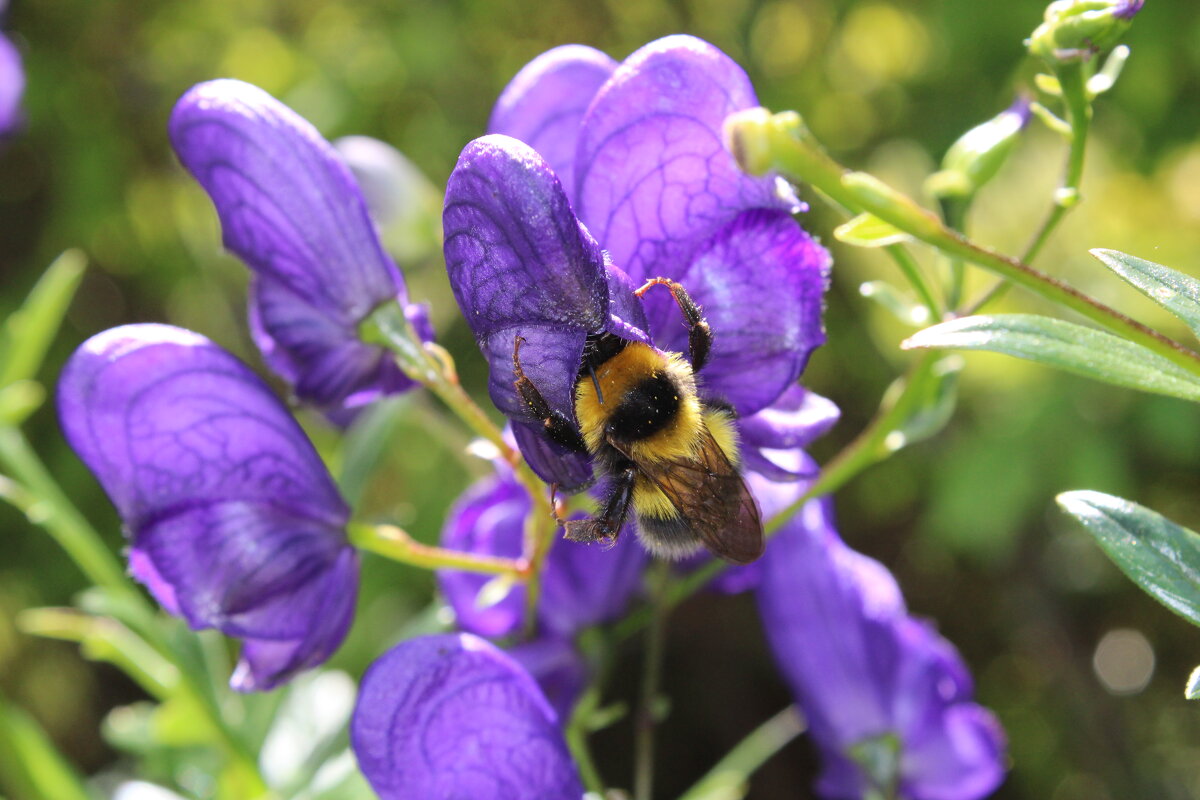 Все мое) - Ирина Лесиканич