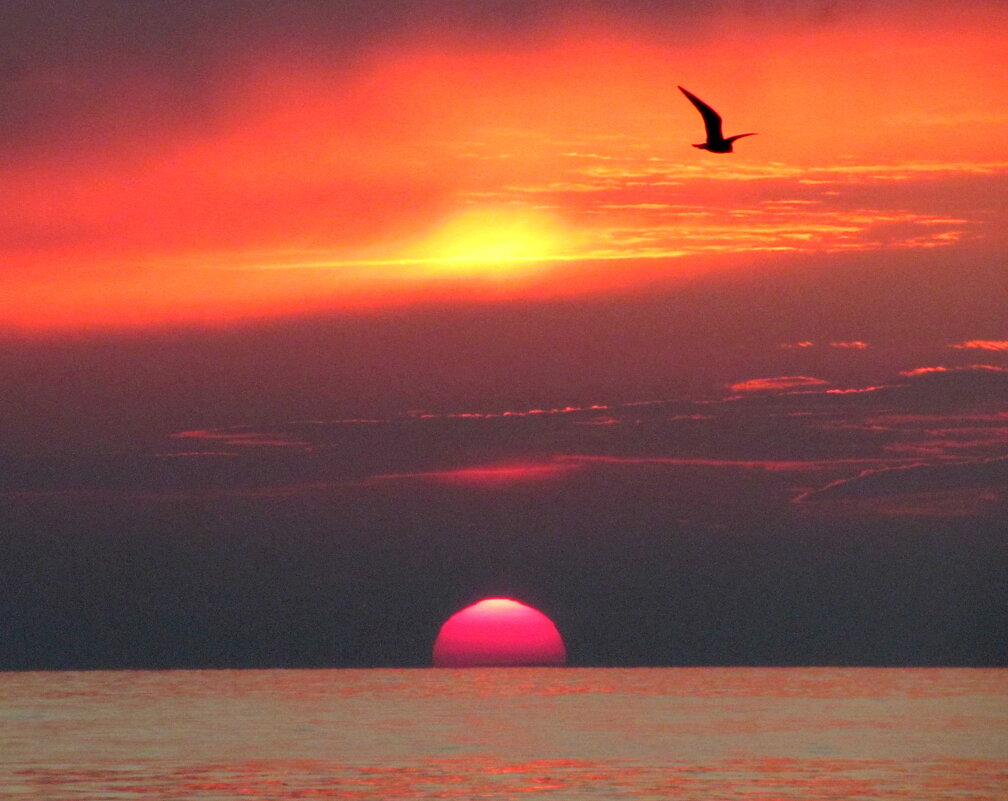 Полет на закате - Валерий 