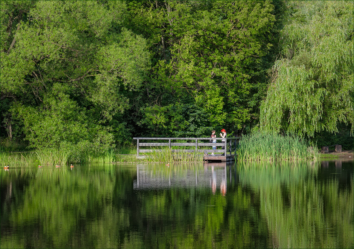 У пруда - Серый 