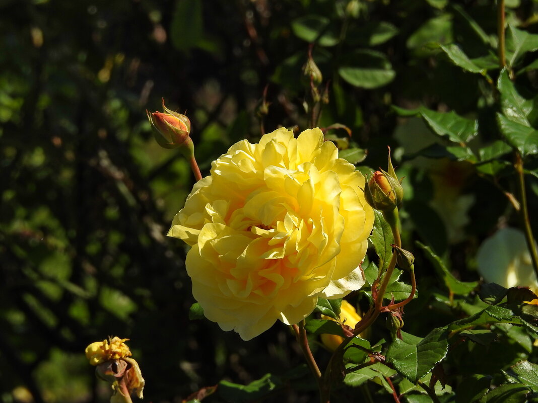 ** - ИННА ПОРОХОВА