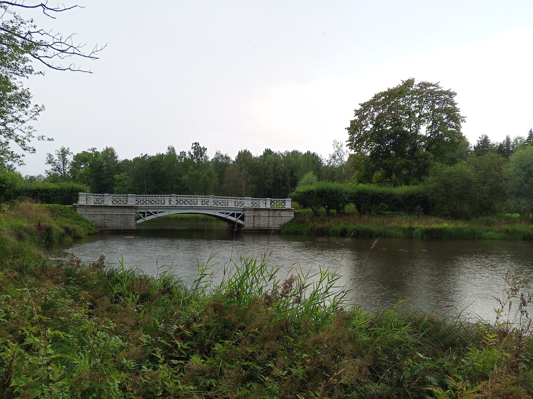 Лето - Сапсан 