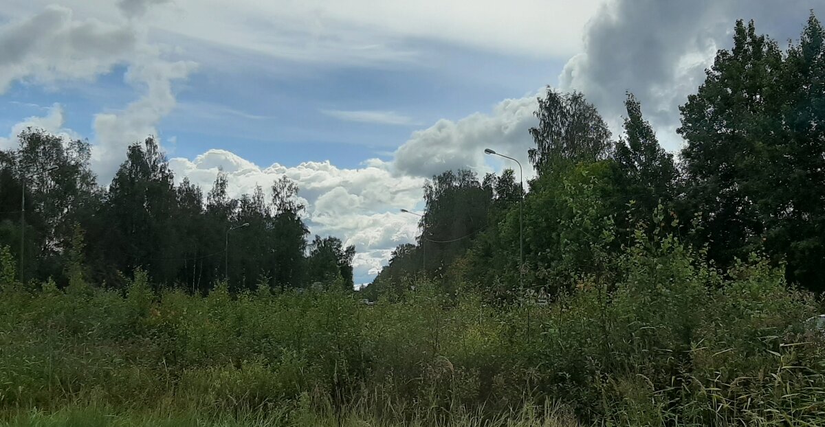 Август - Наталья Герасимова