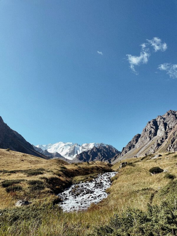 Горная красота - Георгиевич Горная красота - Георгиевич