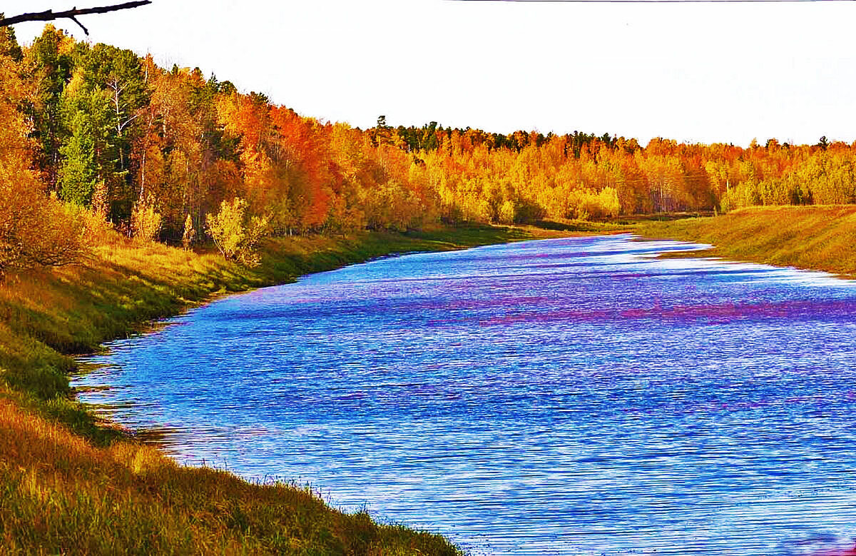 Сентябрь...Золотая осень на протоке Девкина! - Владимир 