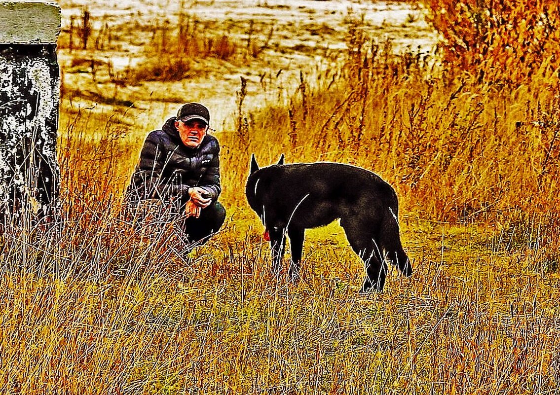 Вот, друг.,дожили мы и до осени! - Владимир 