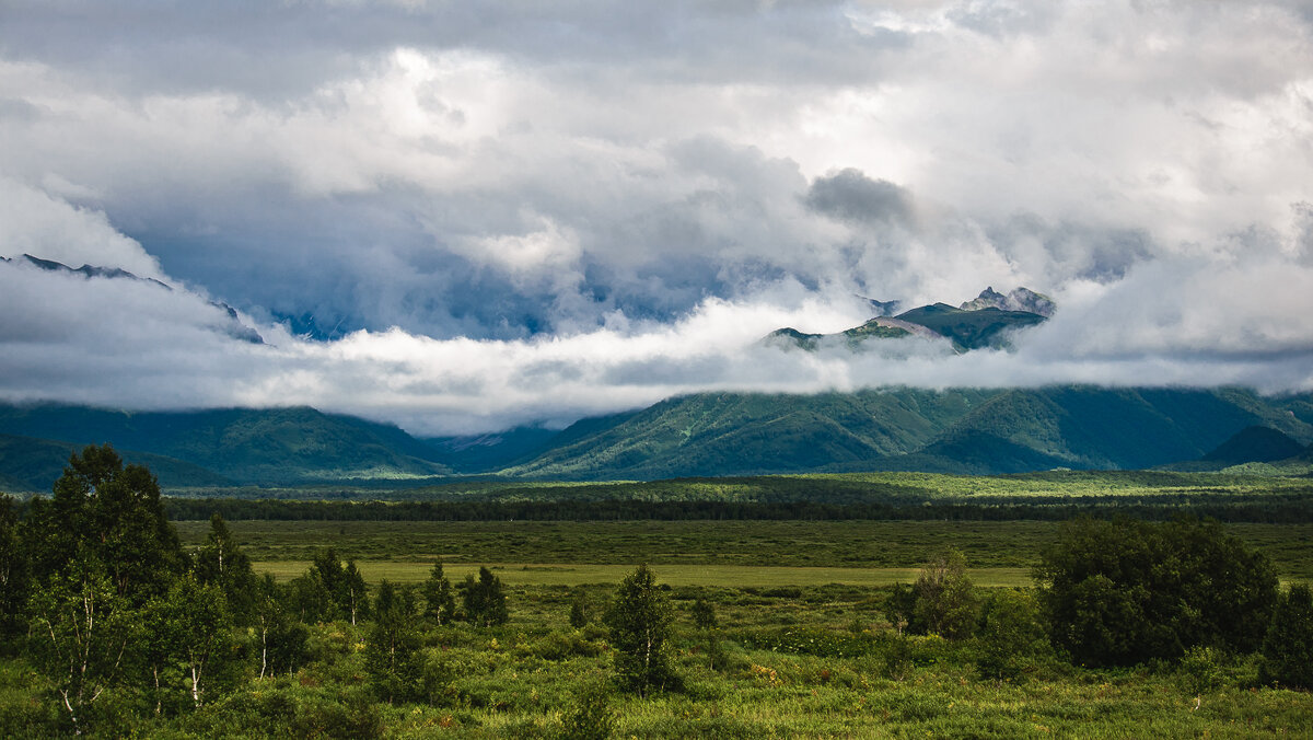 ... - Жора Житников
